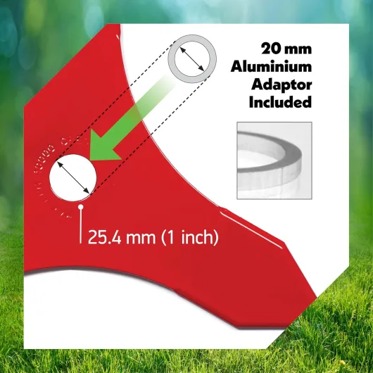 81Tai6UylpL._AC_SL1500_