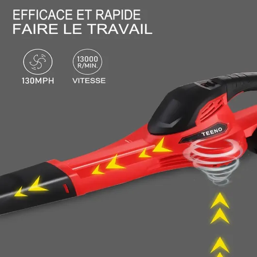 51Ld7gDLSDL._AC_SL1000_