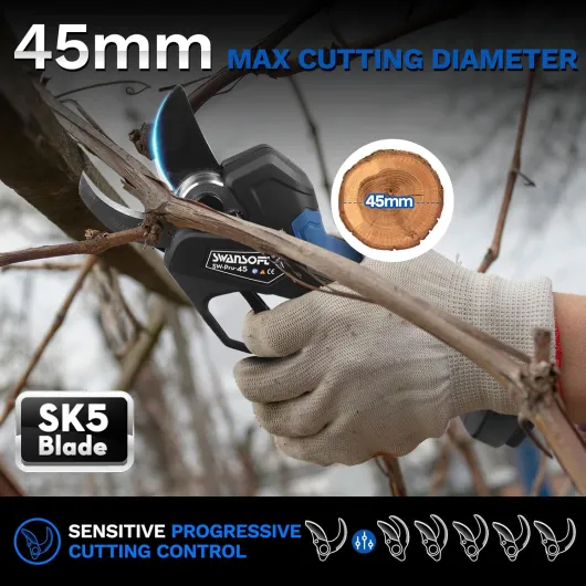 713P8bOxcxL._AC_SL1500_