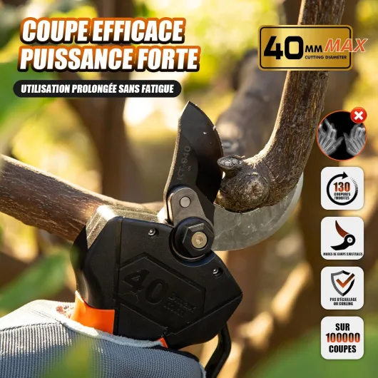 81KoPzJN-IL._AC_SL1500_