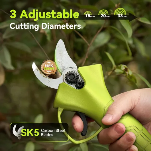 71qTJujsTFL._AC_SL1500_