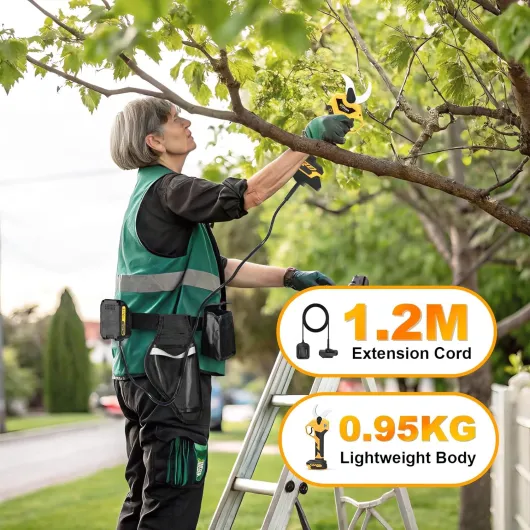 81KnEX391qL._AC_SL1500_