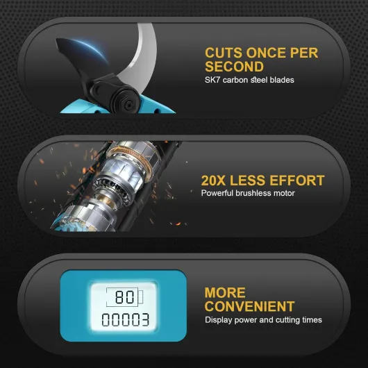 71poSGCgWVL._AC_SL1500_