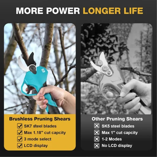 71zTWuukZkL._AC_SL1500_