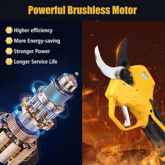 81ZX6VmqKKL._AC_SL1500_