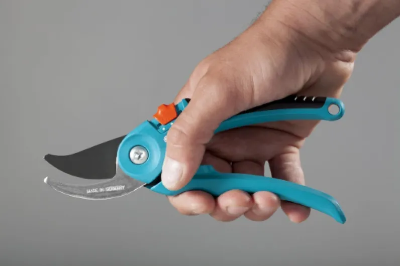 5181kWYl 2L._AC_SL1500_