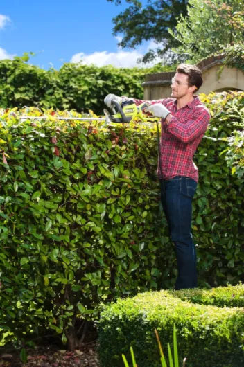 91iWjdFTDiL._AC_SL1500_