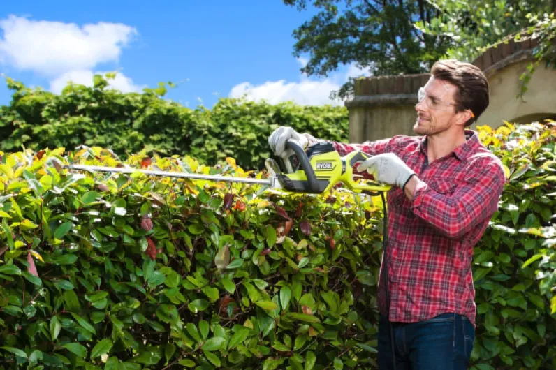 91WOpTc5cXL._AC_SL1500_