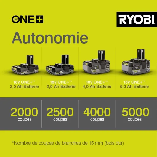 614kxVn 2iL._AC_SL1080_