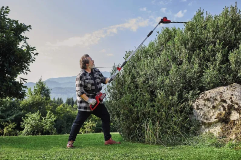 81dqVWSF6hL._AC_SL1500_