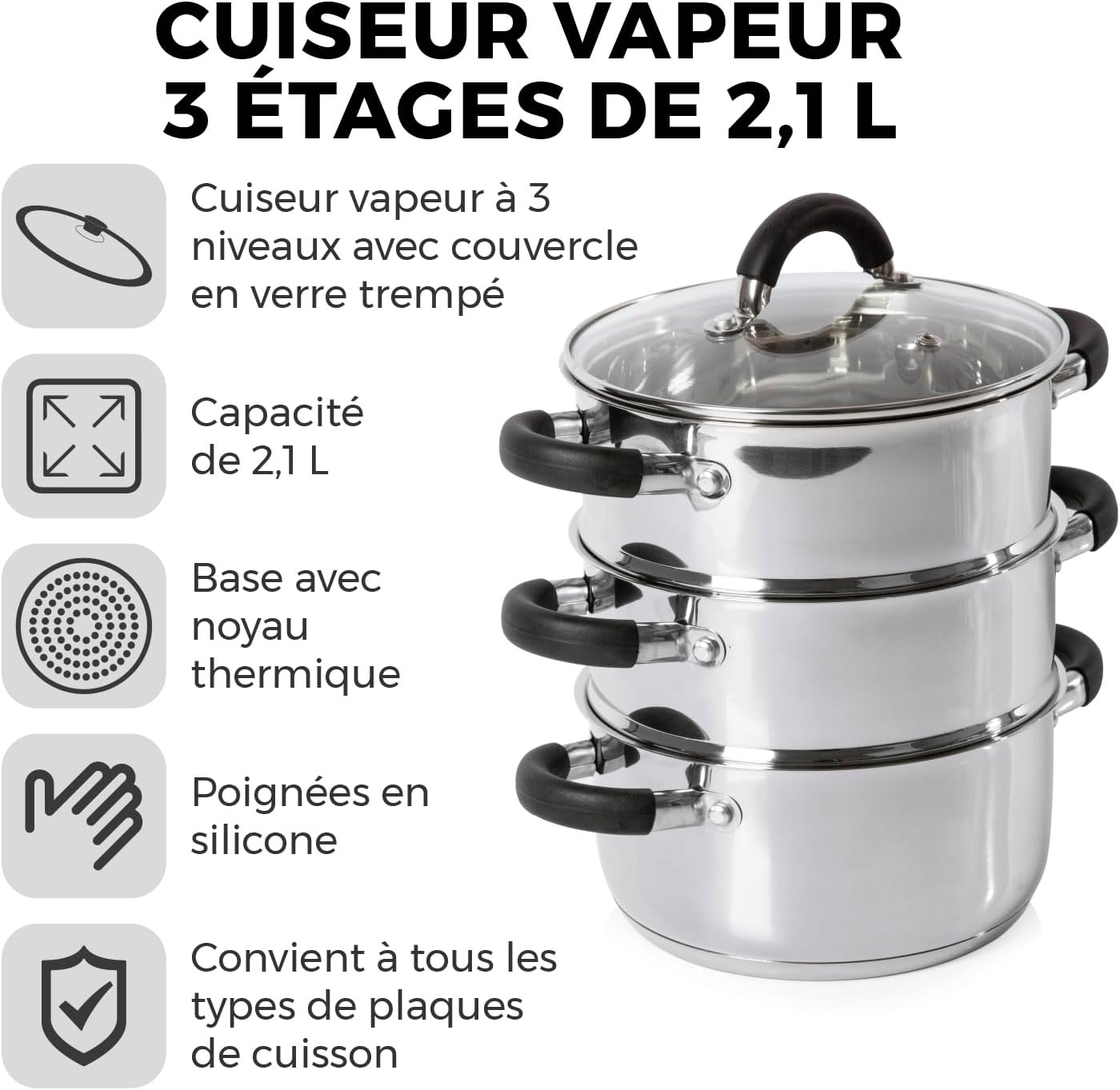 T80836 Essentials Cuiseur Vapeur à Induction à 3 Étages en Inox -avec Couvercle en Verre, Poignées en Silicone - Électrique - Finition Poli-Miroir, 18 cm, Argenté EU version