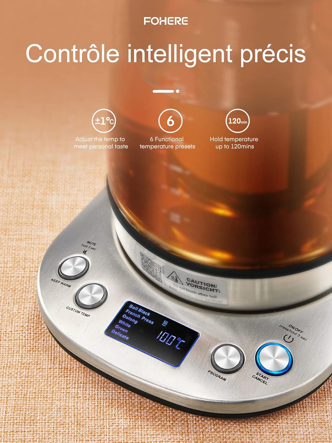 Bouilloire électrique en Verre, Théière Electrique Température Réglable 2200w, Fonction de Maintien au Chaud 120 Mins, Infuseur à thé Amovible, 1.7L