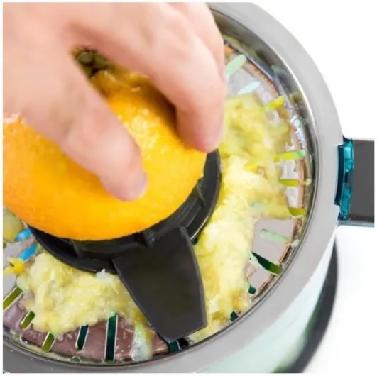 51y8un8ep1L._AC_SL1000_