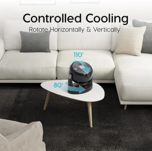 81j- EuBu L._AC_SL1500_