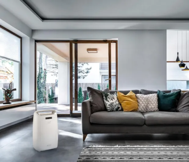 De’Longhi Tasciugo AriaDry Multi - Déshumidificateur Portable pour la Maison, Filtration à 3 Actions, Élimination de l'Humidité 14L/24h, Séchage, Anti-Moisissure, Silencieux, Blanc (DEXD214RF)