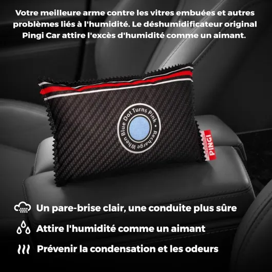 Réutilisable Absorbeur Humidité Voiture (2x 350g) - Anti-Buée Voiture et Déshumidificateur Voiture, 100 % Étanche, Rechargeable au Micro-ondes, Absorbeur d'Humidité Voiture 2 x 350 g