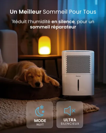 71ahbkB1c0L._AC_SL1500_