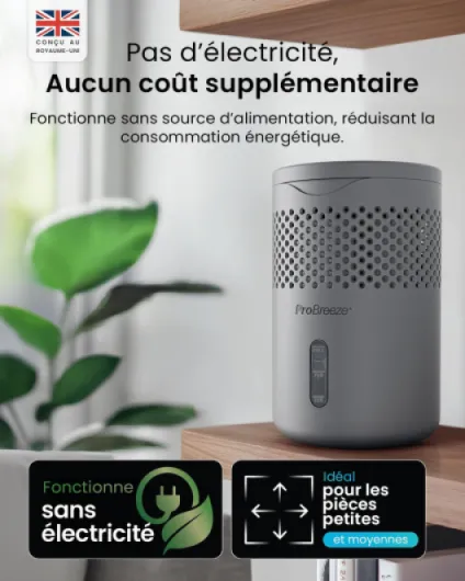 71gpe1B tsL._AC_SL1500_