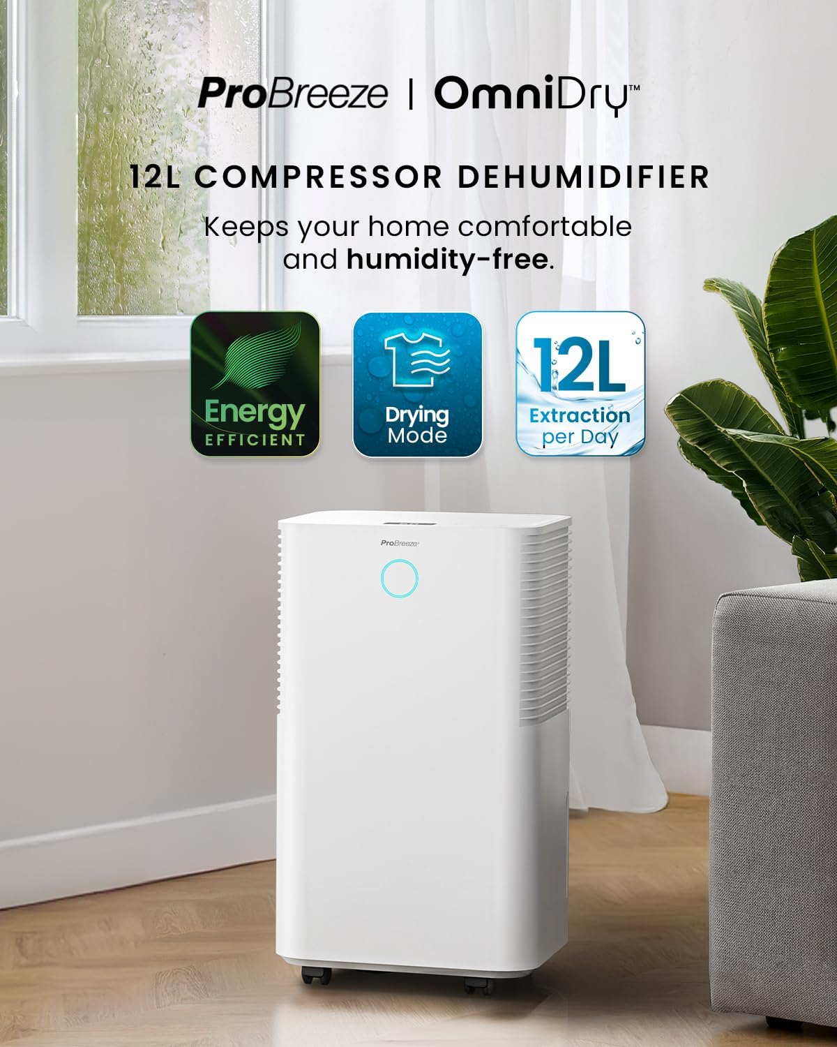 Déshumidificateur Compresseur 12 L/jour avec capteur d'humidité automatique, Séchage du linge, Drainage continu, Mode Nuit & Minuterie 24 heures - Réduit humidité, moisissure, condensation 12L - Blanc