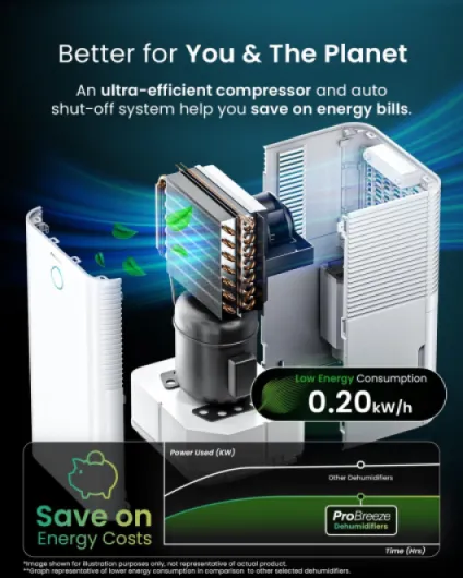 71Xg8SdxR6L._AC_SL1500_