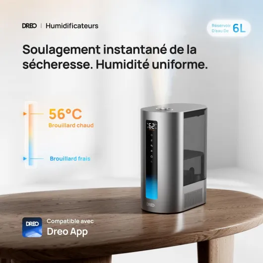 6L Humidificateur chambre à coucher, intelligent, brume chaude/froide, pour plantes et bébé, remplissage par le haut, 60H d'autonomie, silencieux, avec minuterie, compatible Google/Alexa, HM713S Argenté