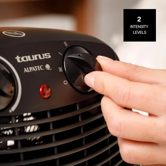 61pBhritDaL._AC_SL1500_