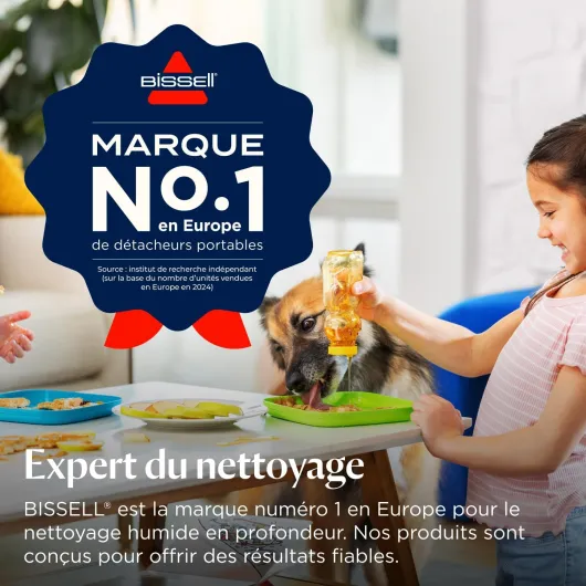 Little Green, Shampouineuse Canapé, Moteur Puissant de 340W, Design Compact, Idéal pour Taches & Saletés Quotidiennes, Nettoyeur pour Tapis, Moquettes, Meubles, Tissus, Voiture & Plus, 4098N