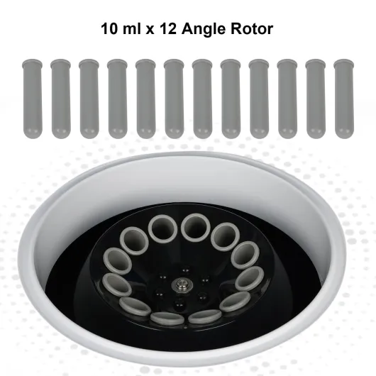 61XR7X SWkL._SL1500_