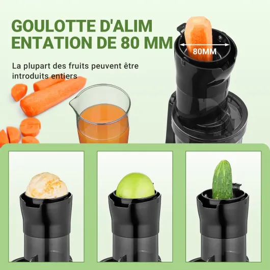 Extracteur De Jus Pour Fruits Entiers 80MM - Centrifugeuse Sans BPA 200W - Avec Tarière Améliorée, Filtre Double Couche, Moteur Silencieux - Noir 17,9 x 16,7 x 44,3 cm Noir