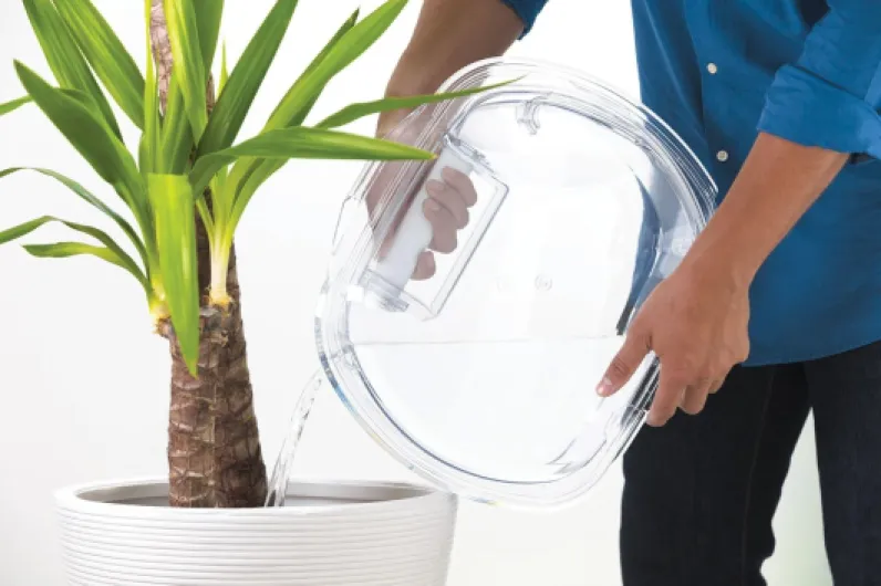 71eIOoO0qyL._AC_SL1500_