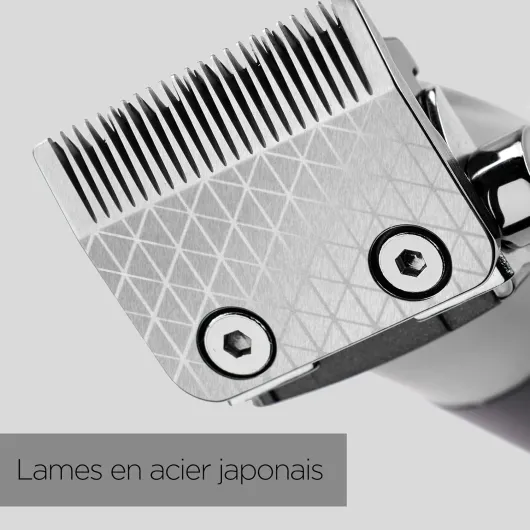 81odrb-E5QL._AC_SL1500_