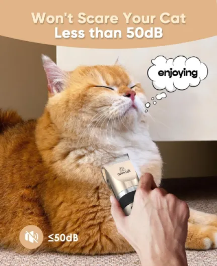 81Gfuv1jxdL._AC_SL1500_