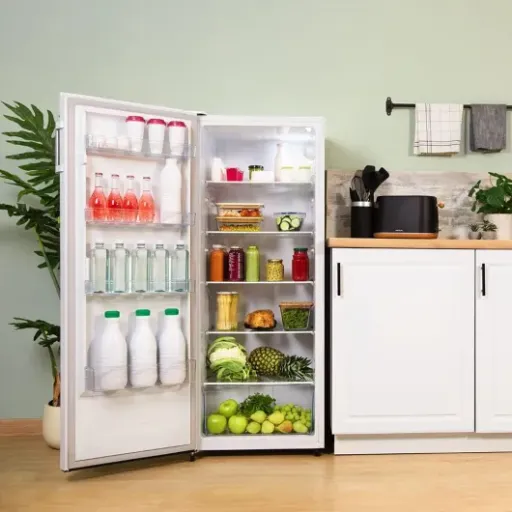 Test Réfrigérateur 1 Porte Bolero CoolMarket 1D 242 White : un frigo qui fait le job sans chichis