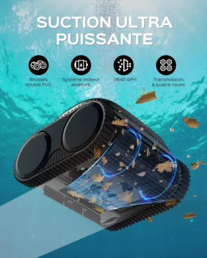 81LLXYRDi1L._AC_SL1500_