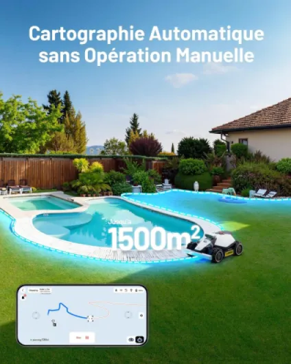 81ywoXCkcjL._AC_SL1500_