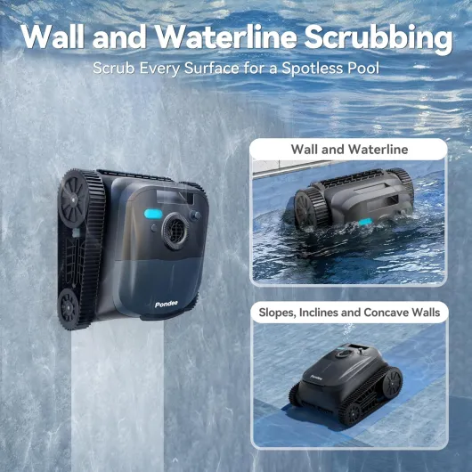 81xZd4La0AL._AC_SL1500_