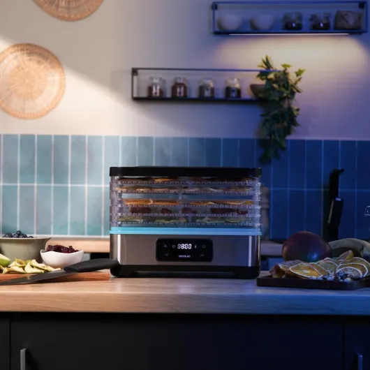 61P5Eeccb4L._AC_SL1000_