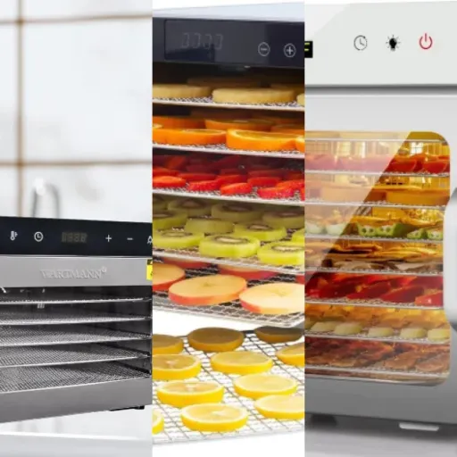 Notre sélection des 11 meilleurs déshydrateurs (janvier 2026)