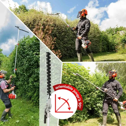 81ZFsZjE3tL._AC_SL1000_