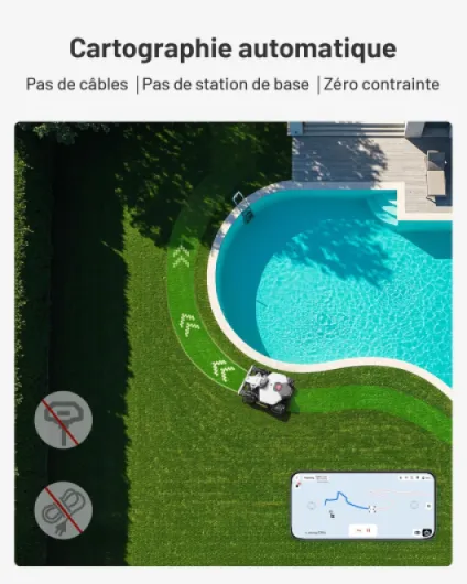 81WVv3XoSxL._AC_SL1500_