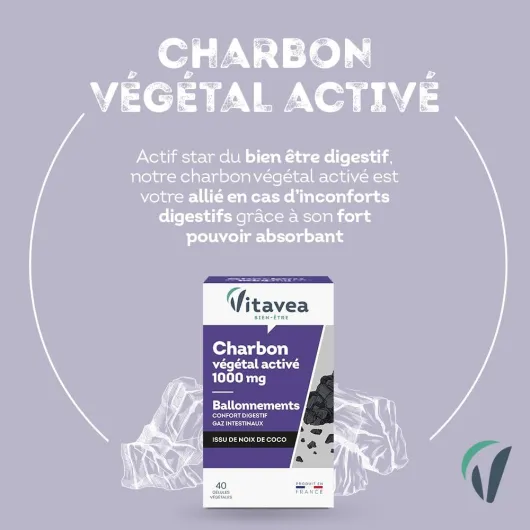 VITAVEA BIEN-ETRE - Charbon Actif Végétal 1000 mg - Complément Alimentaire Triple Action - Confort Digestif, Ballonnements, Gaz Intestinaux - 40 gélules - Cure de 10 jours - Fabriqué en France Charbon végétal activé