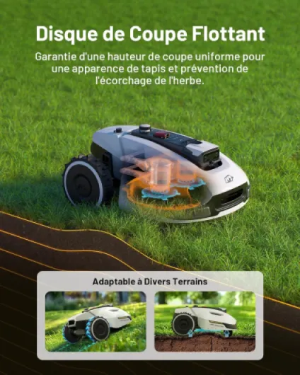 817nlau OPL._AC_SL1500_