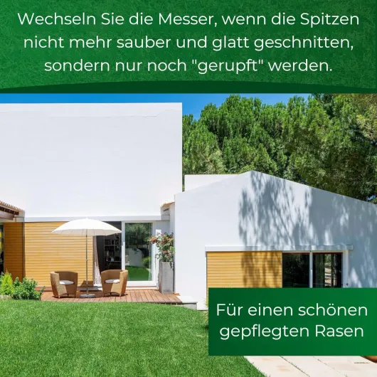 91aHqf8OMRL._AC_SL1500_