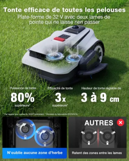 81wCUd-JBiL._AC_SL1500_