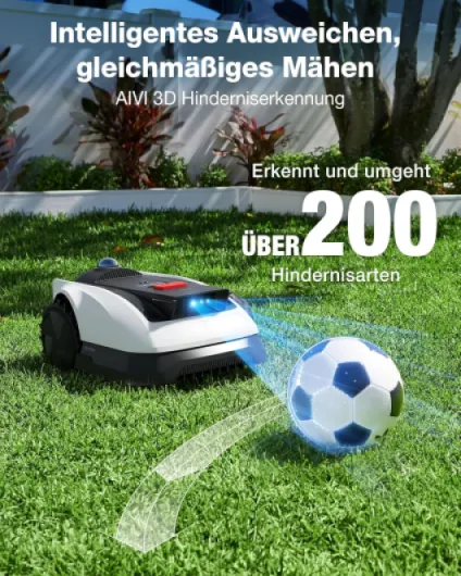 91Wd6auyEUL._AC_SL1500_