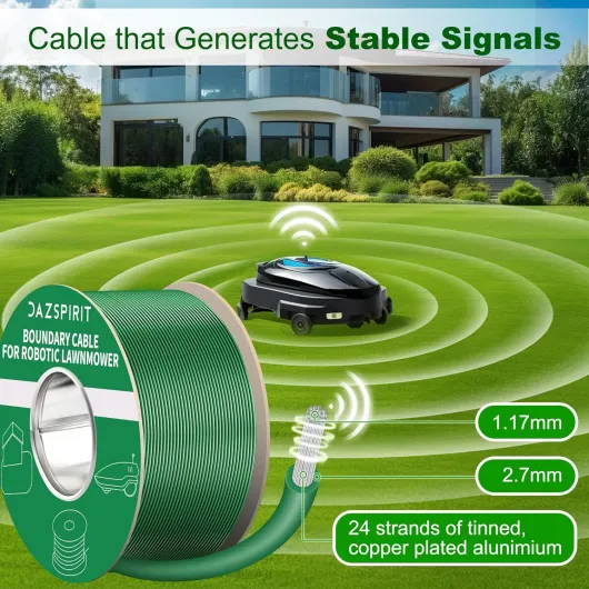 81-Mx6txS2L._AC_SL1500_