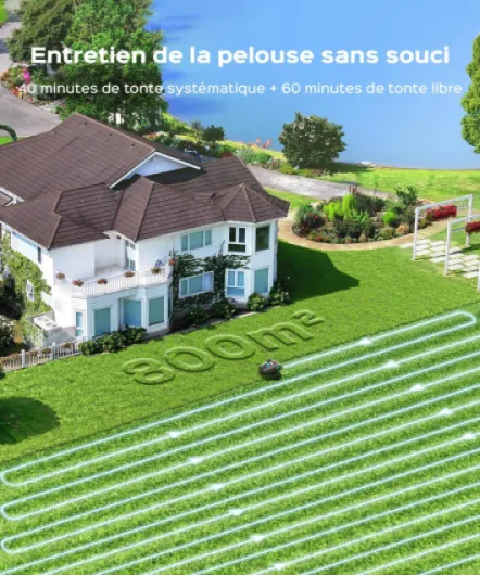 81ywVg8wsjL._AC_SL1500_