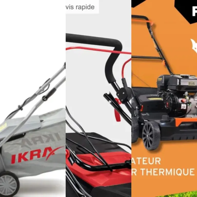 Guide d'achat : les 4 meilleurs scarificateurs de pelouse (2026)