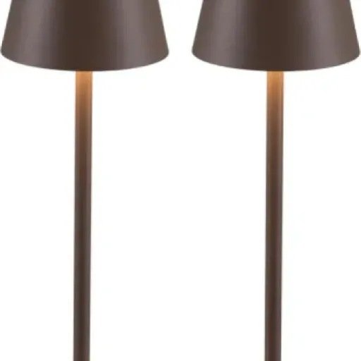 Test VISDANFO 2x Lampe de Table LED Sans Fil : les petites lampes pratiques pour dedans/dehors