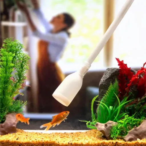 Test Luigi's Aspirateur Aquarium : le siphon simple qui fait (globalement) le job